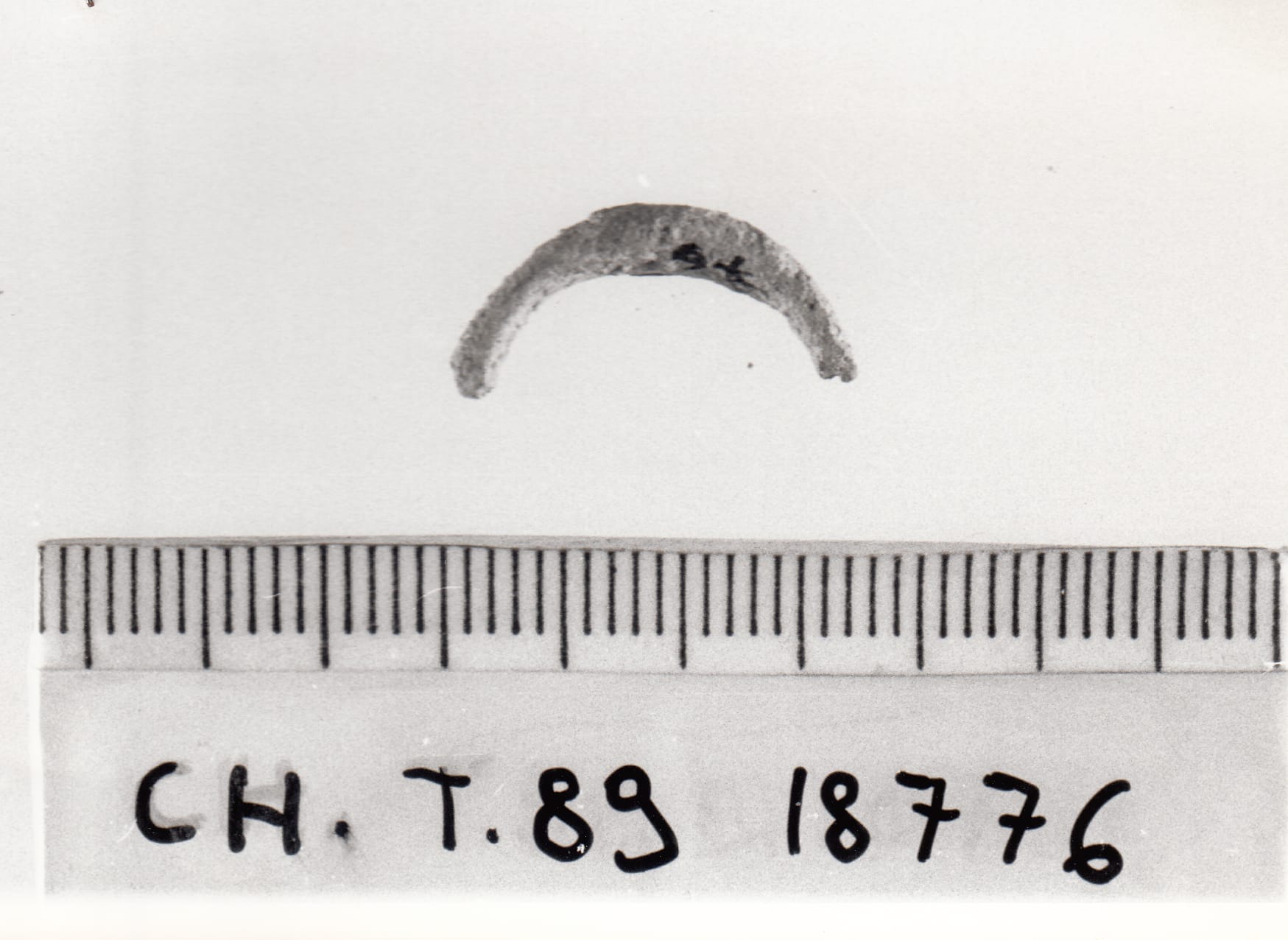 fibula - Cultura Ligure della Prima Età del Ferro (VII a.C)