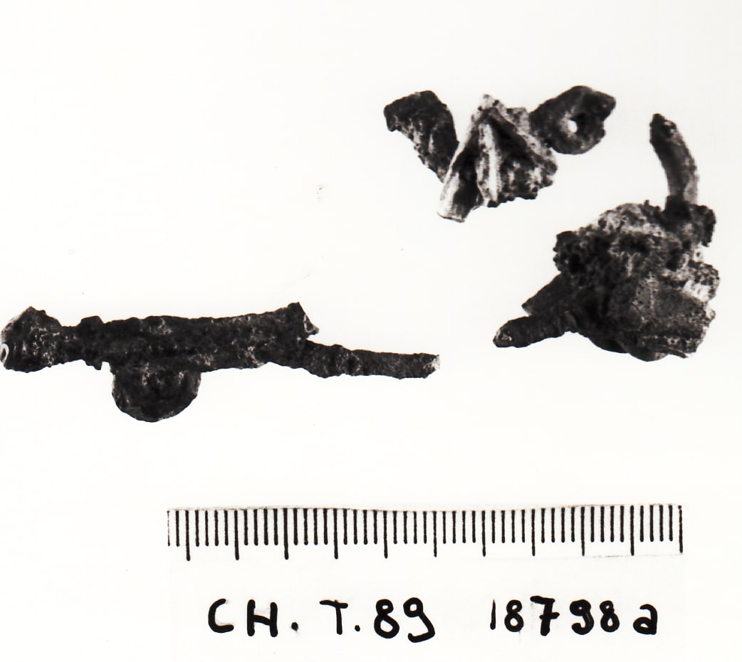 fibula serpeggiante - cultura ligure della prima età del Ferro (VII a.C)