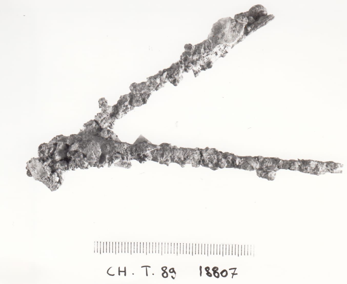 nettaunghie - cultura ligure della prima età del Ferro (VII a.C)