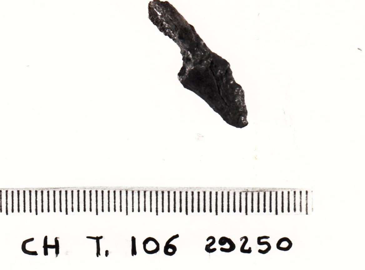 fibula a navicella/frammento - cultura ligure della prima età del Ferro (VII a.C)