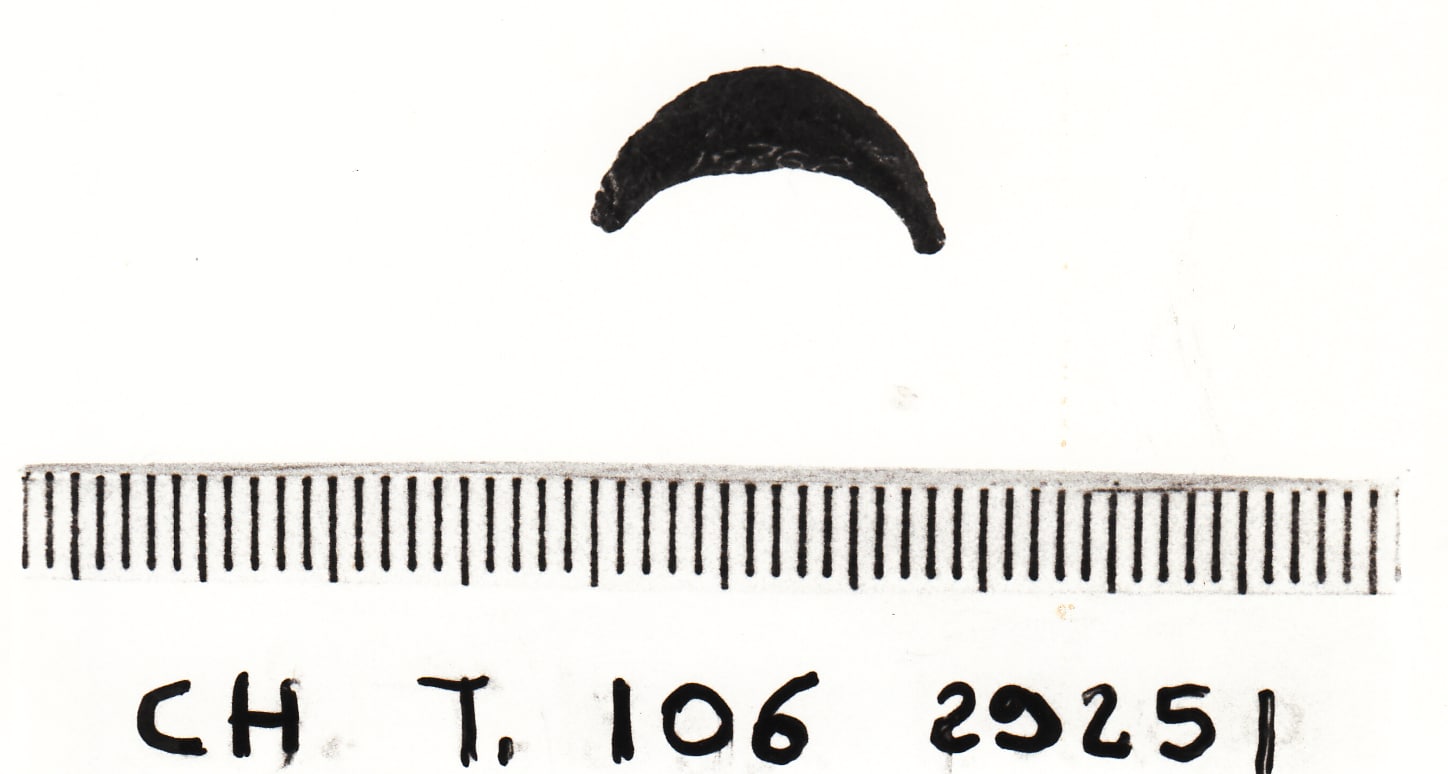 fibula a sanguisuga - cultura ligure della prima età del Ferro (VII a.C)