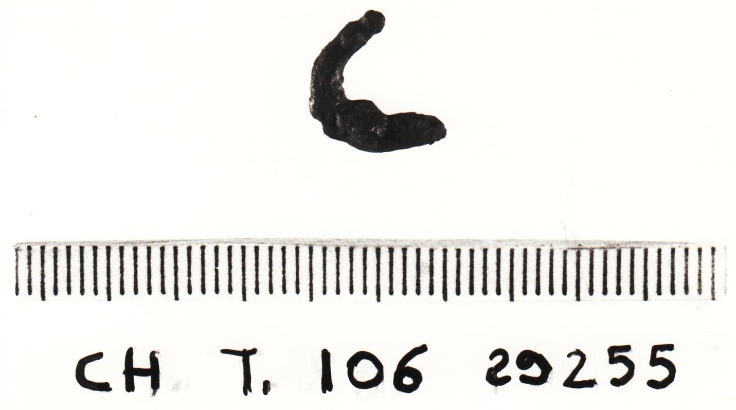 orecchino - cultura ligure della prima età del Ferro (VII a.C)