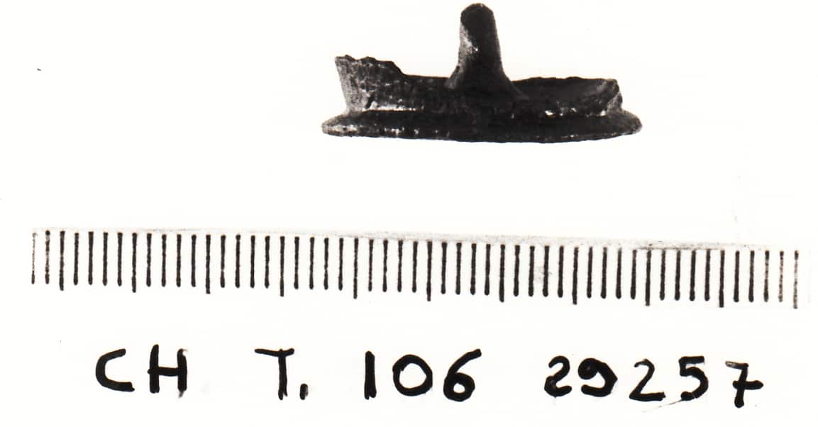 bottone - Cultura Ligure della Prima Età del Ferro (VII a.C)