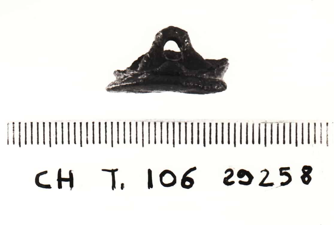 bottone - Cultura Ligure della Prima Età del Ferro (VII a.C)