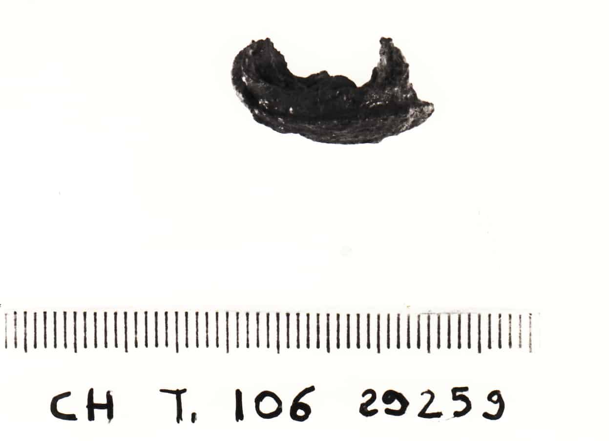 bottone - Cultura Ligure della Prima Età del Ferro (VII a.C)