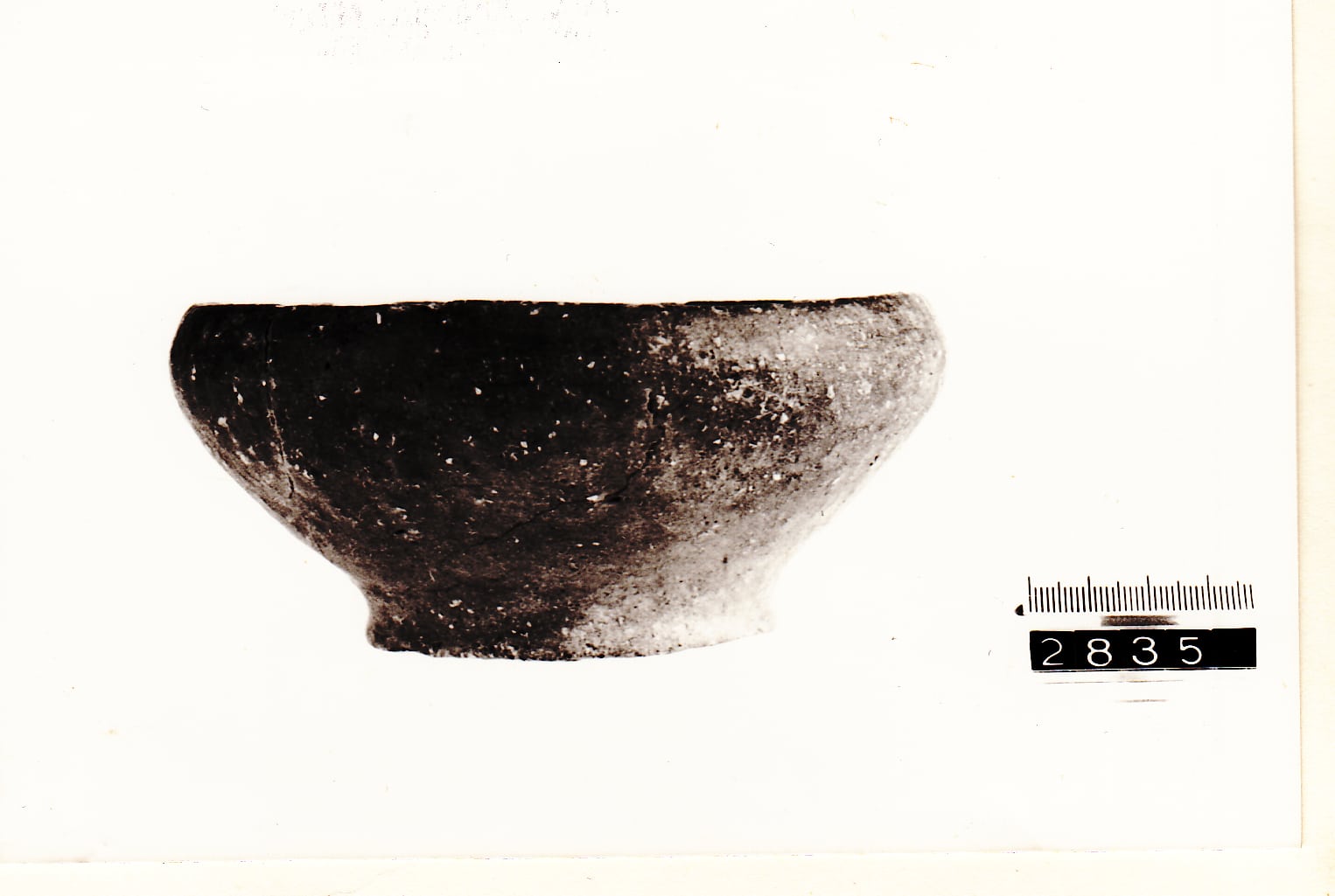 scodella - Cultura Ligure della Prima Età del Ferro (VII a.C)