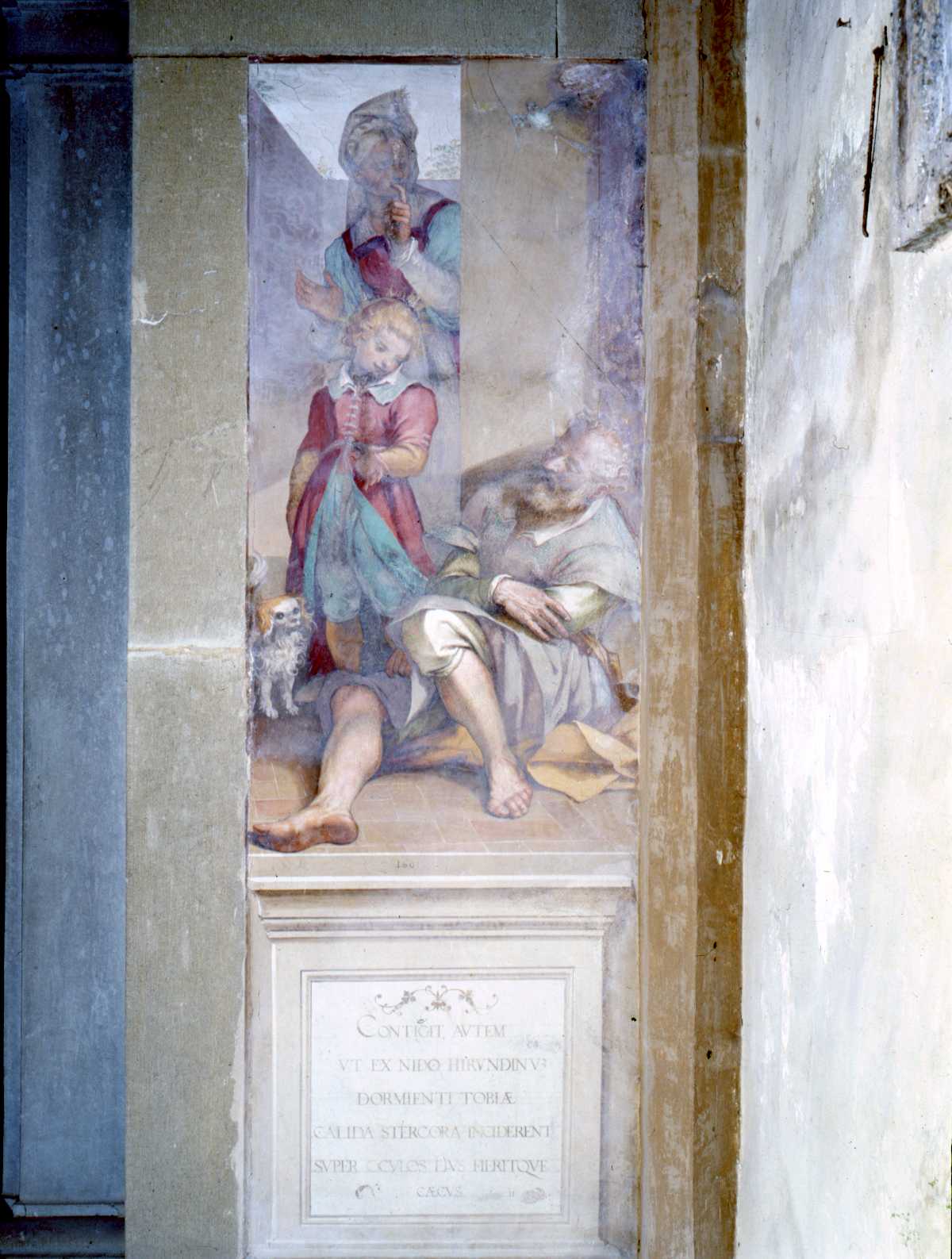 Tobi cieco (dipinto murale) di Barbatelli Bernardino detto il Poccetti (e aiuti) (inizio sec. XVII)