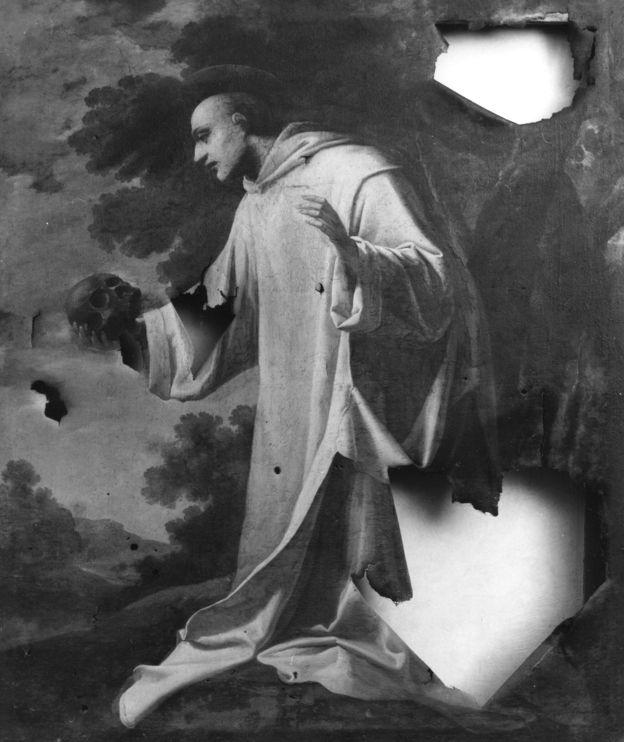 Santo certosino (dipinto) di Manetti Rutilio (sec. XVII)