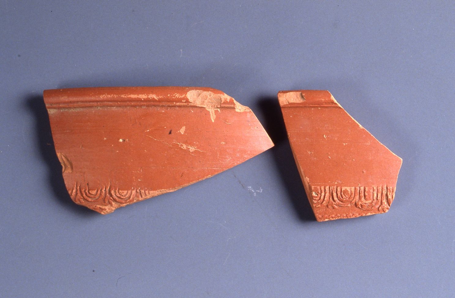 coppa/ emisferica, orlo, Dragendorff 37 - ambito gallo romano, La Graufesenque o Banassac (I-II)