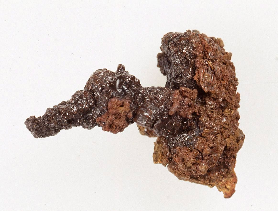 fibula, Feugère 1 - ambito insubre (III-II a.C)