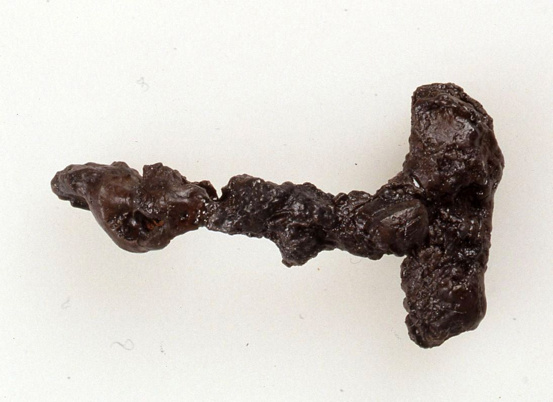 fibula, Feugère 1 - ambito insubre (III-II a.C)