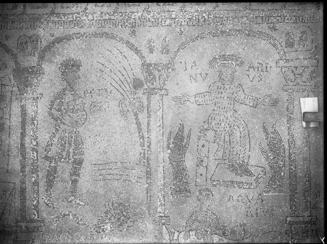 Arte musiva - Mosaici pavimentali - Sec. XII (negativo, insieme) di Cicala, Vittorio (attribuito) (XX)