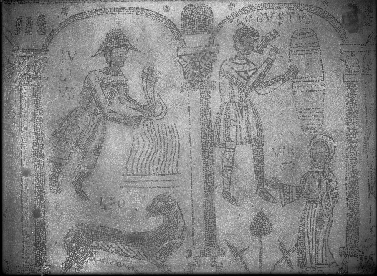 Arte musiva - Mosaici pavimentali - Sec. XII (negativo, insieme) di Cicala, Vittorio (attribuito) (XX)
