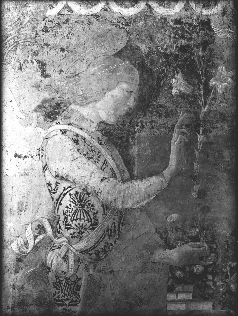 Pittura - Affreschi - Dipinti murali - Sec. XV - Restauro (negativo, insieme) di A. Villani & Figli - ambito ferrarese (XX)