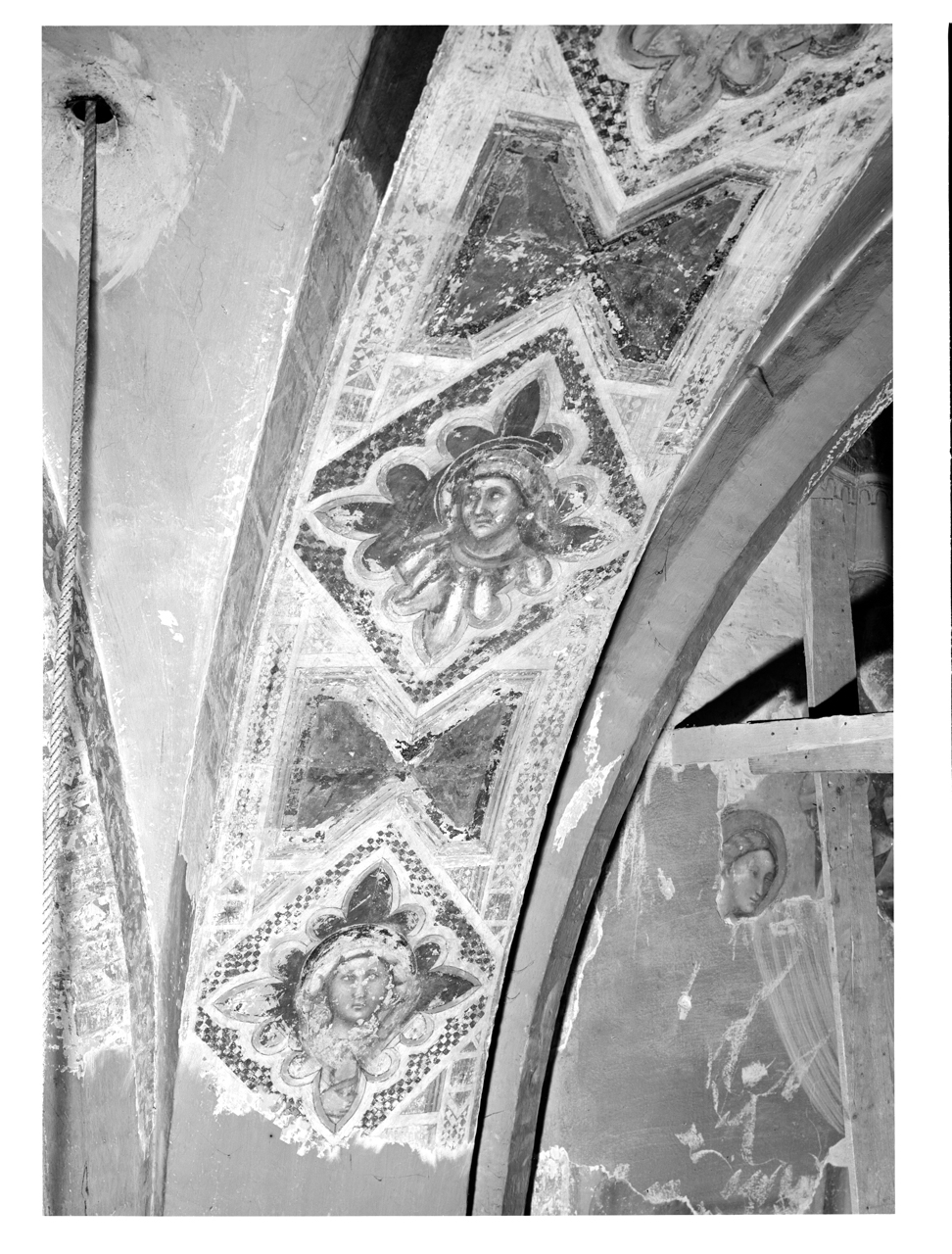 Italia - Emilia Romagna - Bologna - Basilica di Santa Maria dei Servi (negativo, insieme) di Zagnoli, Alfonso, Vitale da Bologna (metà XX)