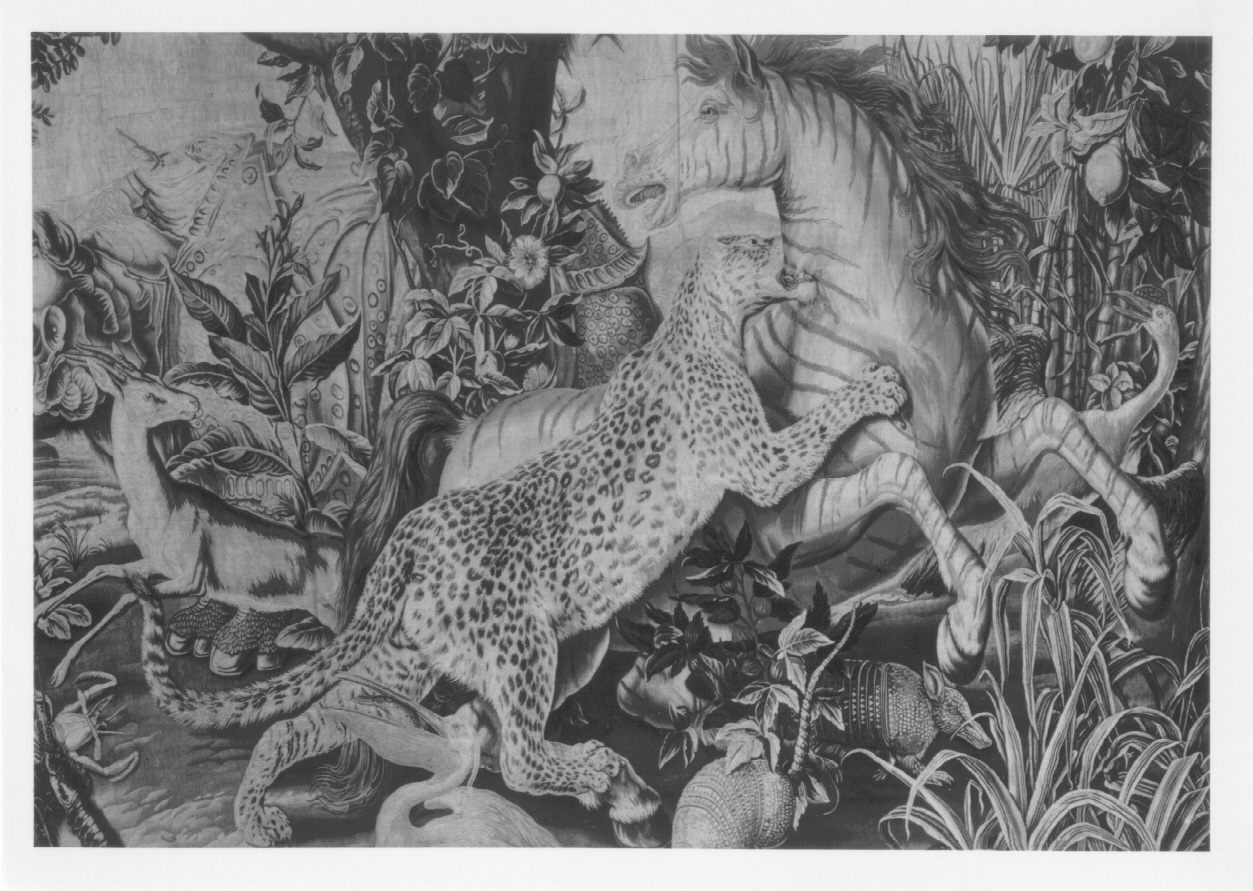 la zebra (arazzo, opera isolata) di Neilson Jacques, Desportes François, Le Blond Etienne Claude - manifattura di Gobelins (metà sec. XVIII)