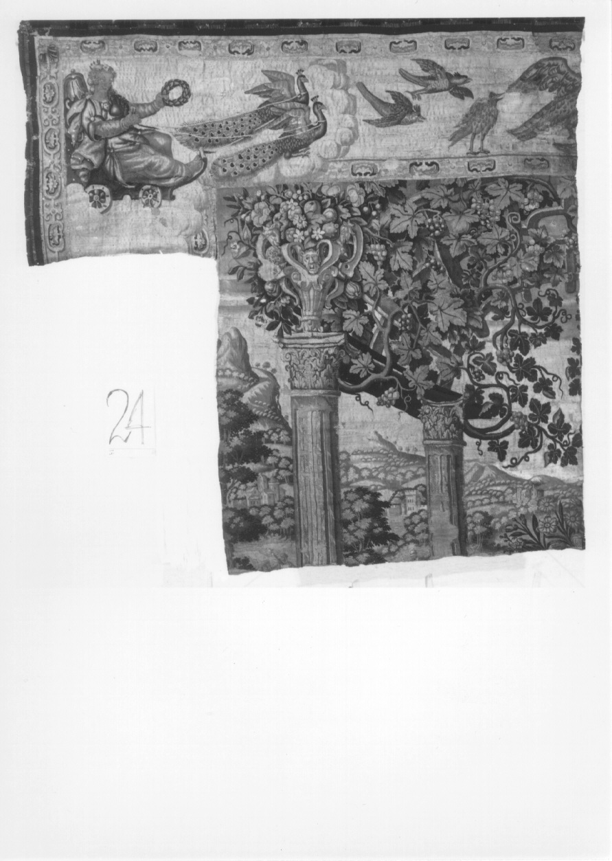 pergolato con verzura (arazzo, frammento) - manifattura di Bruxelles (ultimo quarto sec. XVI)