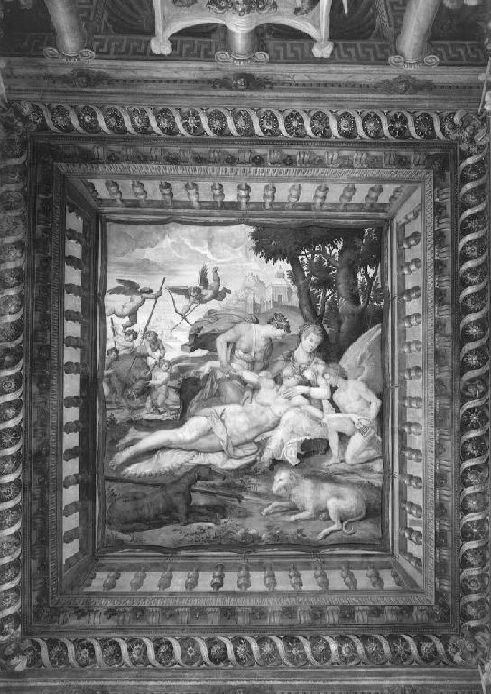 Morte di Adone; Putti con festoni e stemma gentilizio (decorazione pittorica) di Samacchini Orazio (sec. XVI)