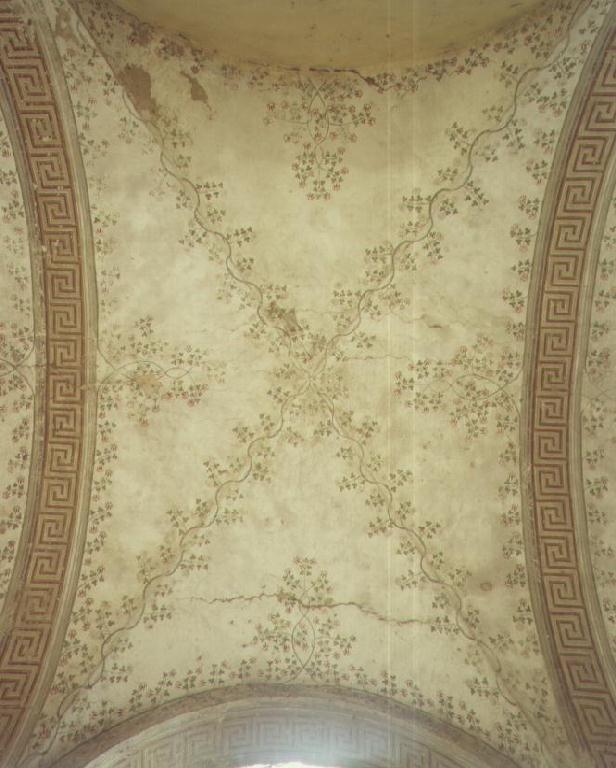 Motivi decorativi a tralci di vite (decorazione pittorica, complesso decorativo) - ambito emiliano (seconda metà sec. XVI)