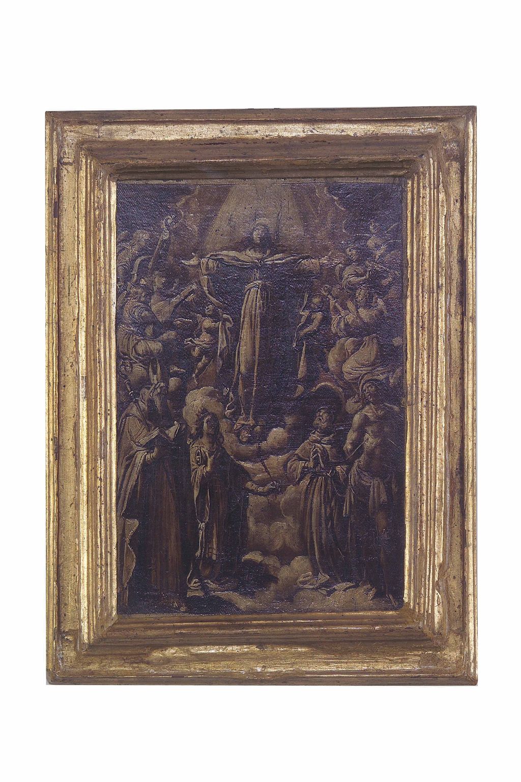 Madonna in gloria tra Santi martiri (dipinto) di Manetti Domenico (attribuito) (sec. XVII)