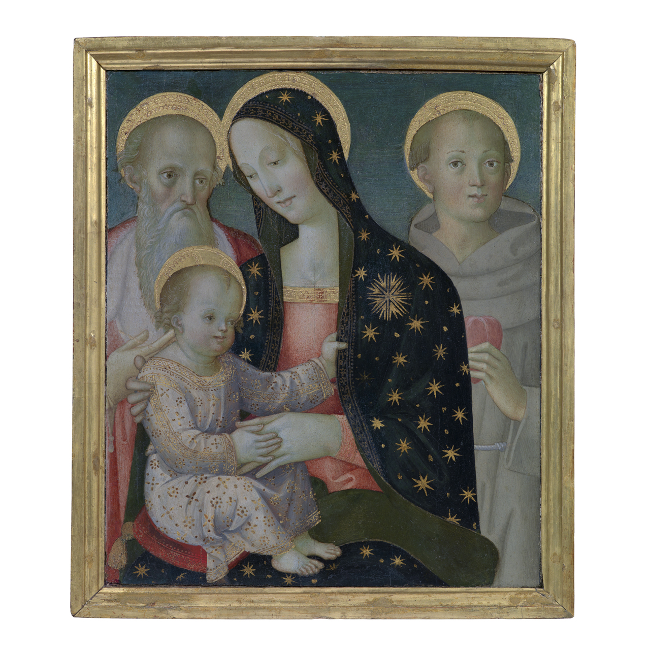 Madonna con Bambino tra San Girolamo e San Sant'Antonio da Padova (dipinto) di Pacchiarotti Giacomo (inizio sec. XVI)