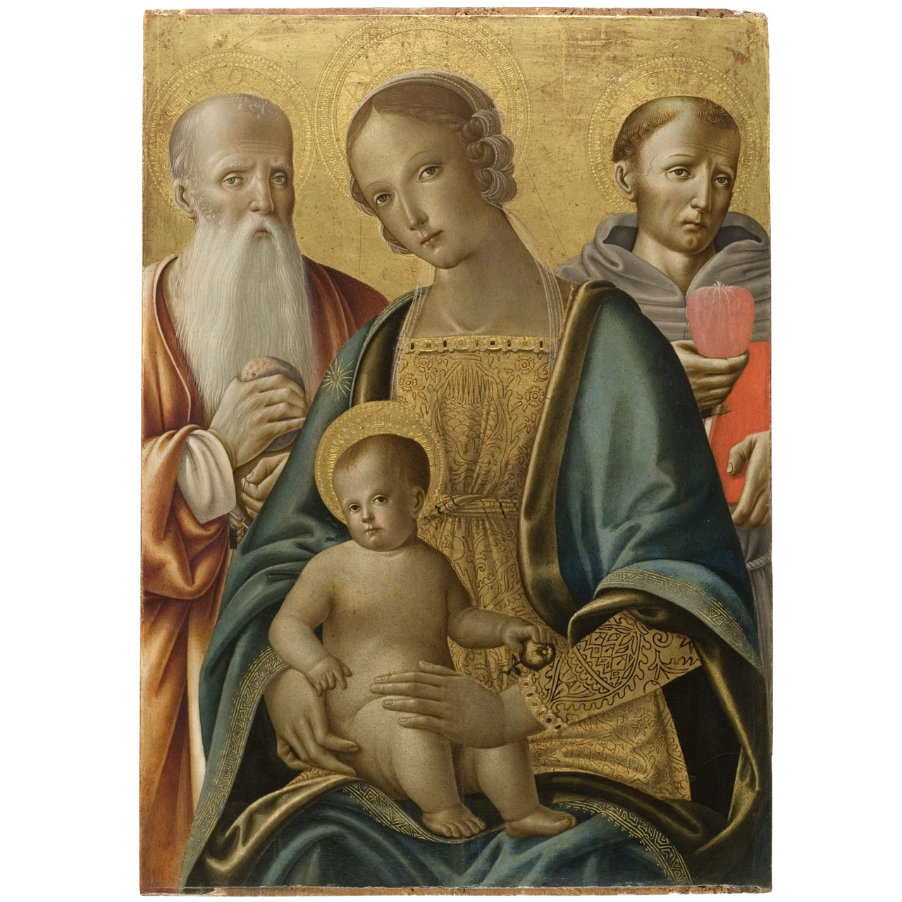 Madonna con Bambino tra San Girolamo e Sant'Antonio da Padova (dipinto) di Pietro di Domenico (sec. XVI)