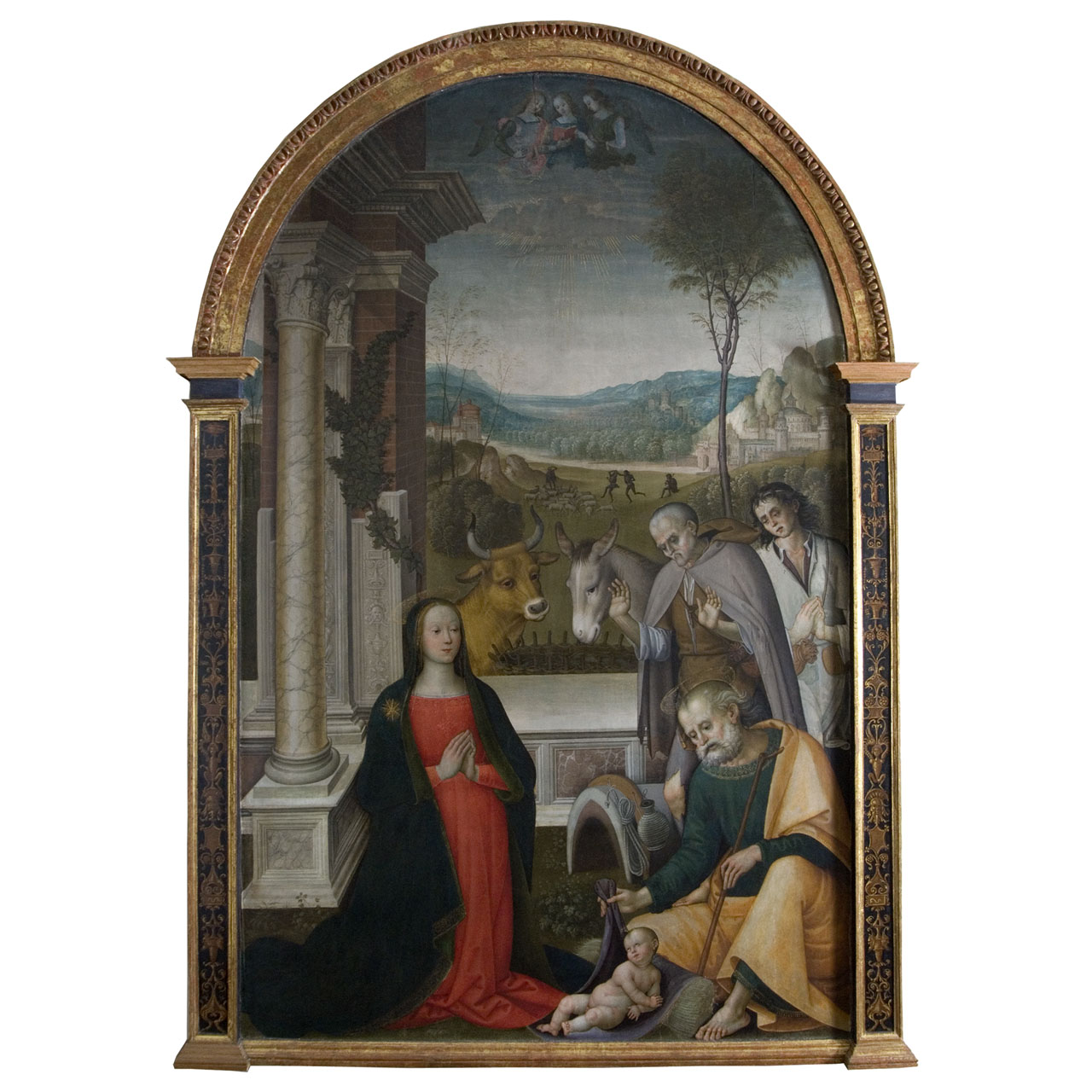 adorazione dei pastori (pala d'altare) di Pacchiarotti Giacomo (sec. XVI)