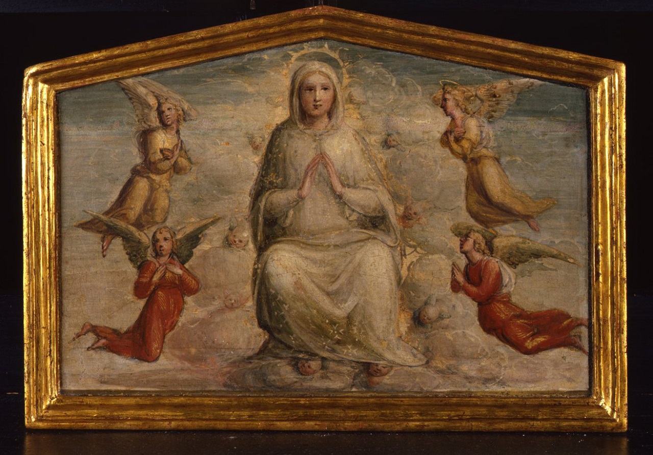 Madonna Assunta con angeli (dipinto) di Maestro del desco Chigi Saracini (sec. XVI)