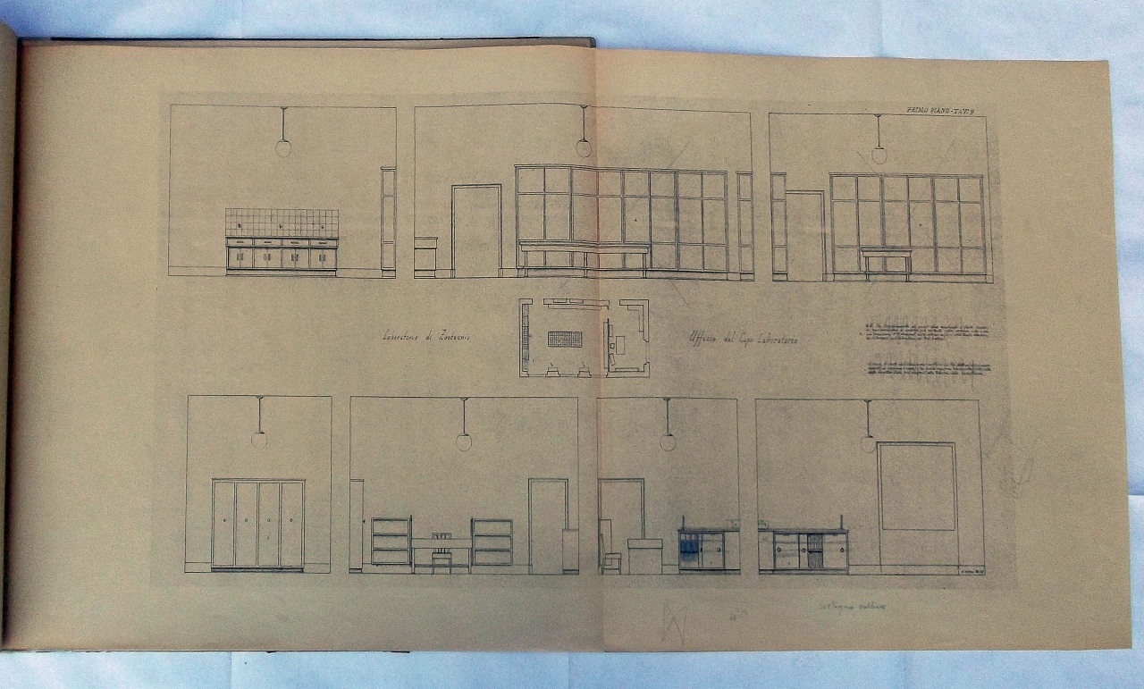 pianta del laboratorio di Zootecnia (disegno architettonico) di Tofani Dino (sec. XX)