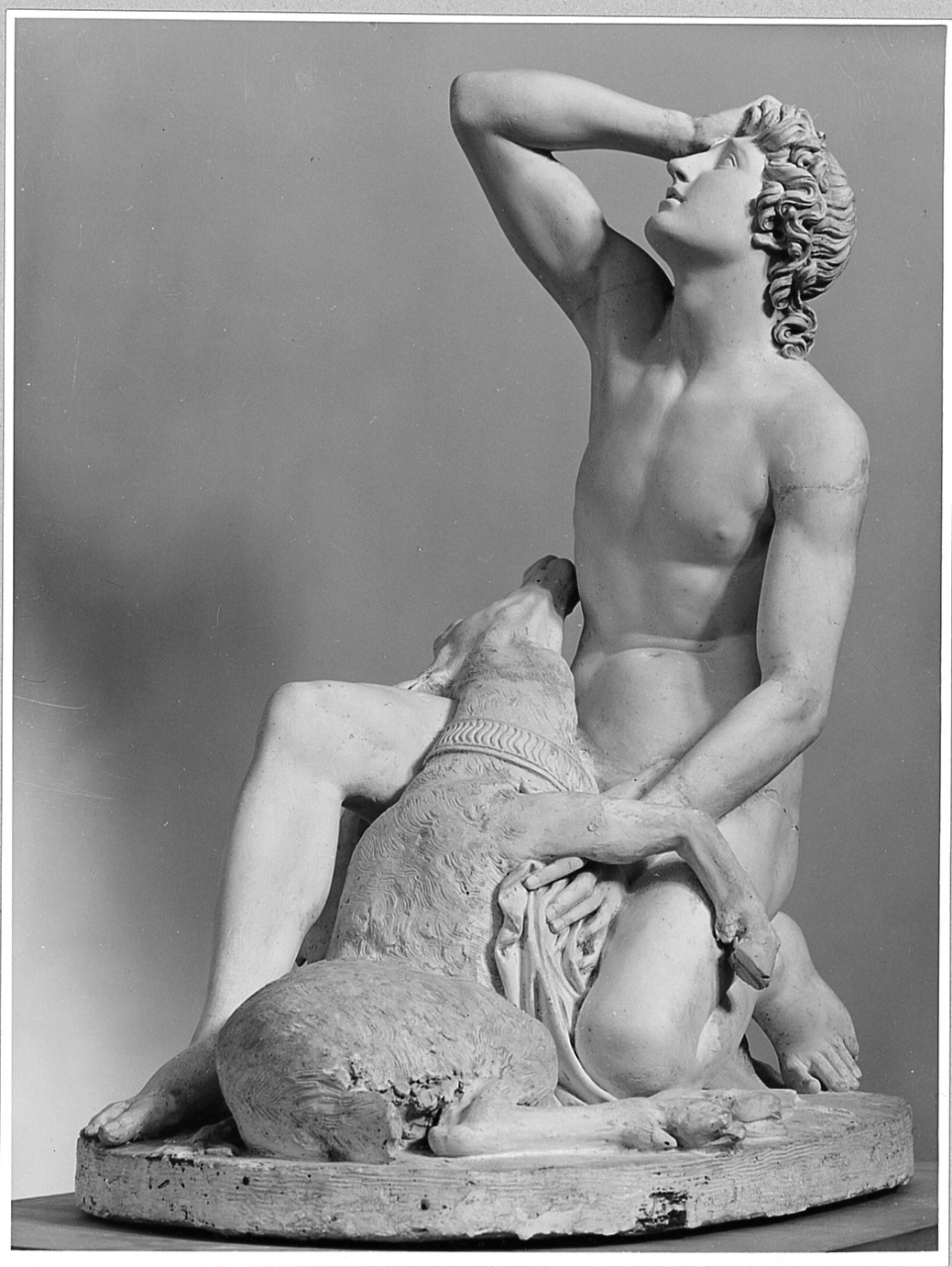 Ciparisso (gruppo scultoreo) di Pozzi Francesco (sec. XIX)