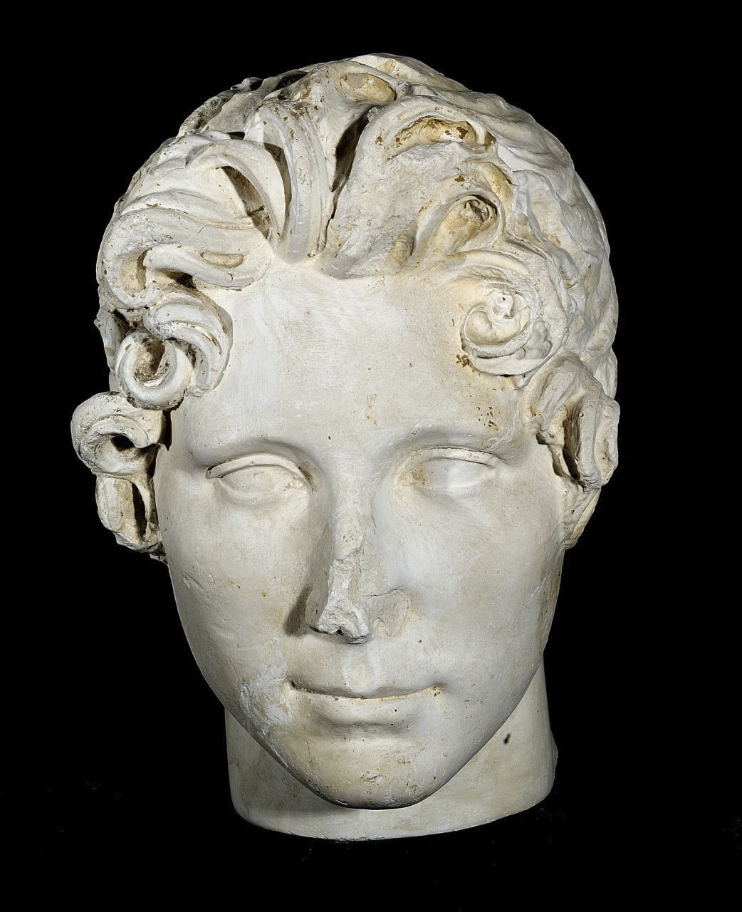 testa ritratto di giovane uomo (busto) di Bartolini Lorenzo (sec. XIX)