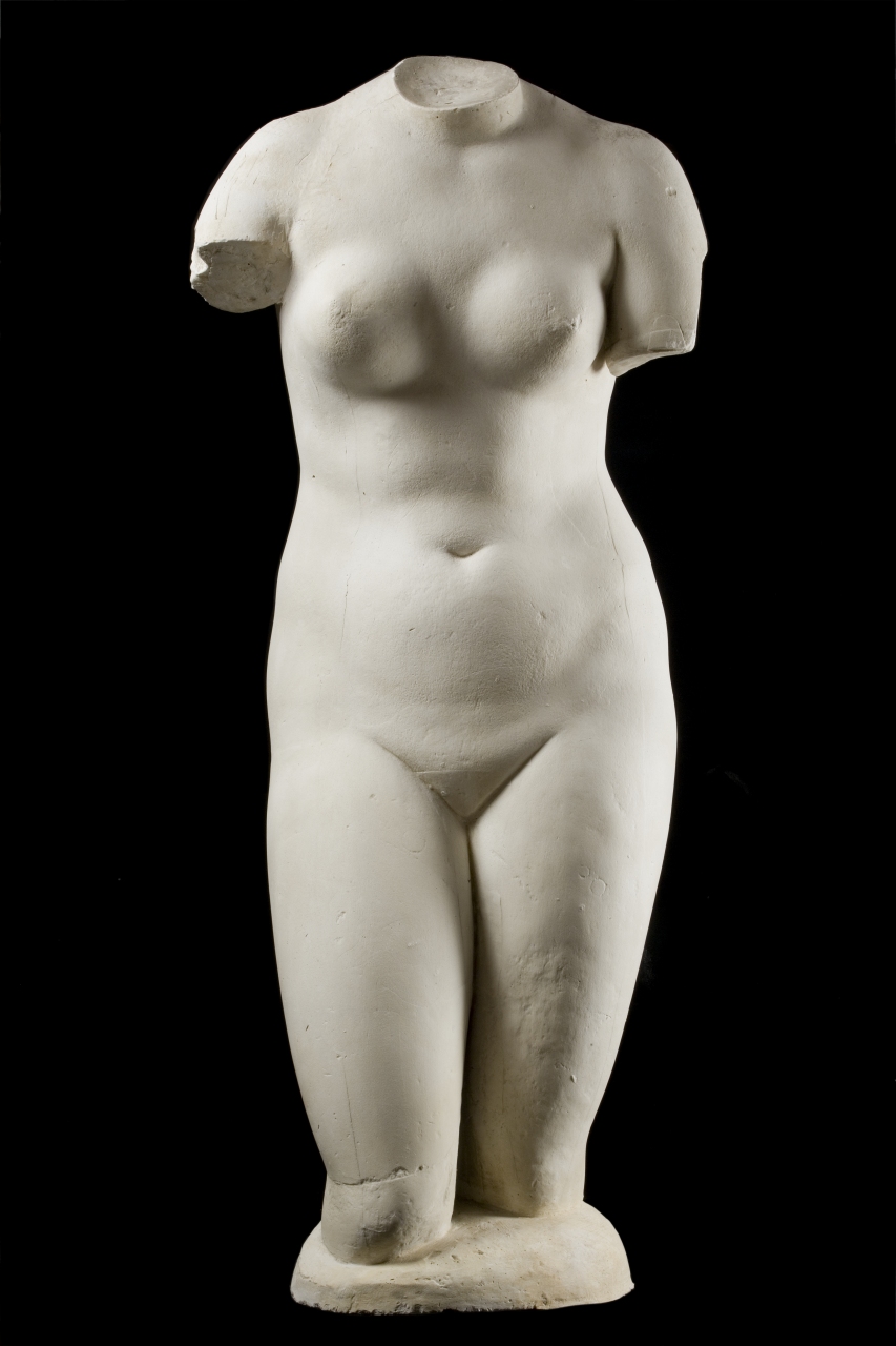 Venere de' Medici, figura femminile nuda (calco di scultura) di Bartolini Lorenzo (bottega) (sec. XIX)