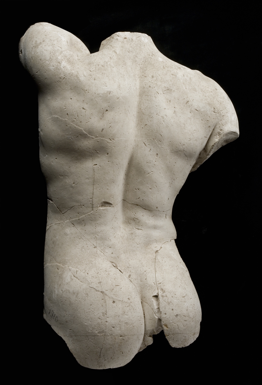 torso maschile (calco di scultura) di Bartolini Lorenzo (attribuito) (sec. XIX)