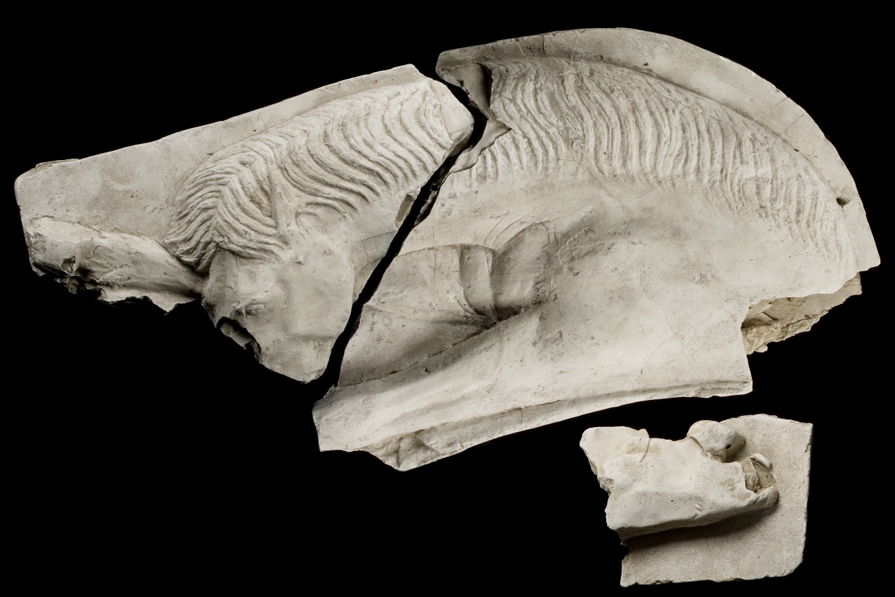 testa di cavallo (calco di scultura, frammento) di Bartolini Lorenzo (attribuito) (prima metà sec. XIX)