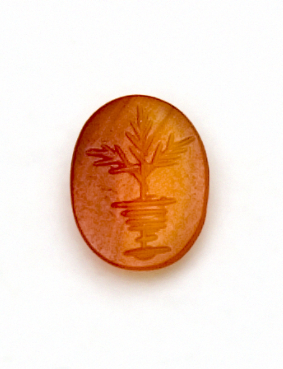 vaso con pianta (decorazione a intaglio) - bottega italiana (?) (secc. XVII/ XVIII)