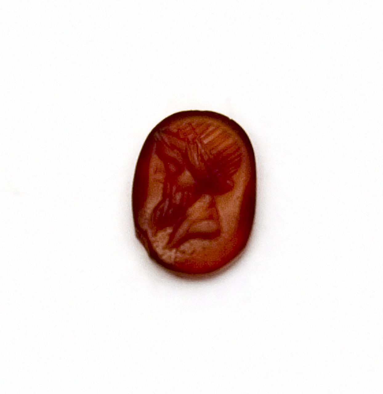 testa d'uomo con barba (decorazione a intaglio) - bottega italiana (secc. XVII/ XVIII)