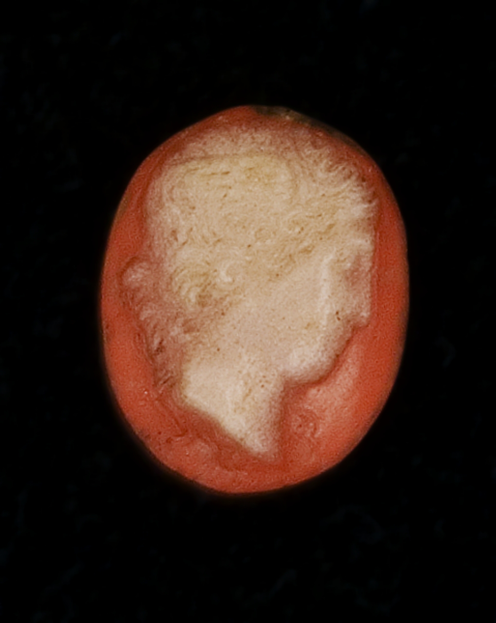 Medusa (cammeo) - bottega italiana (prima metà sec. XVIII)