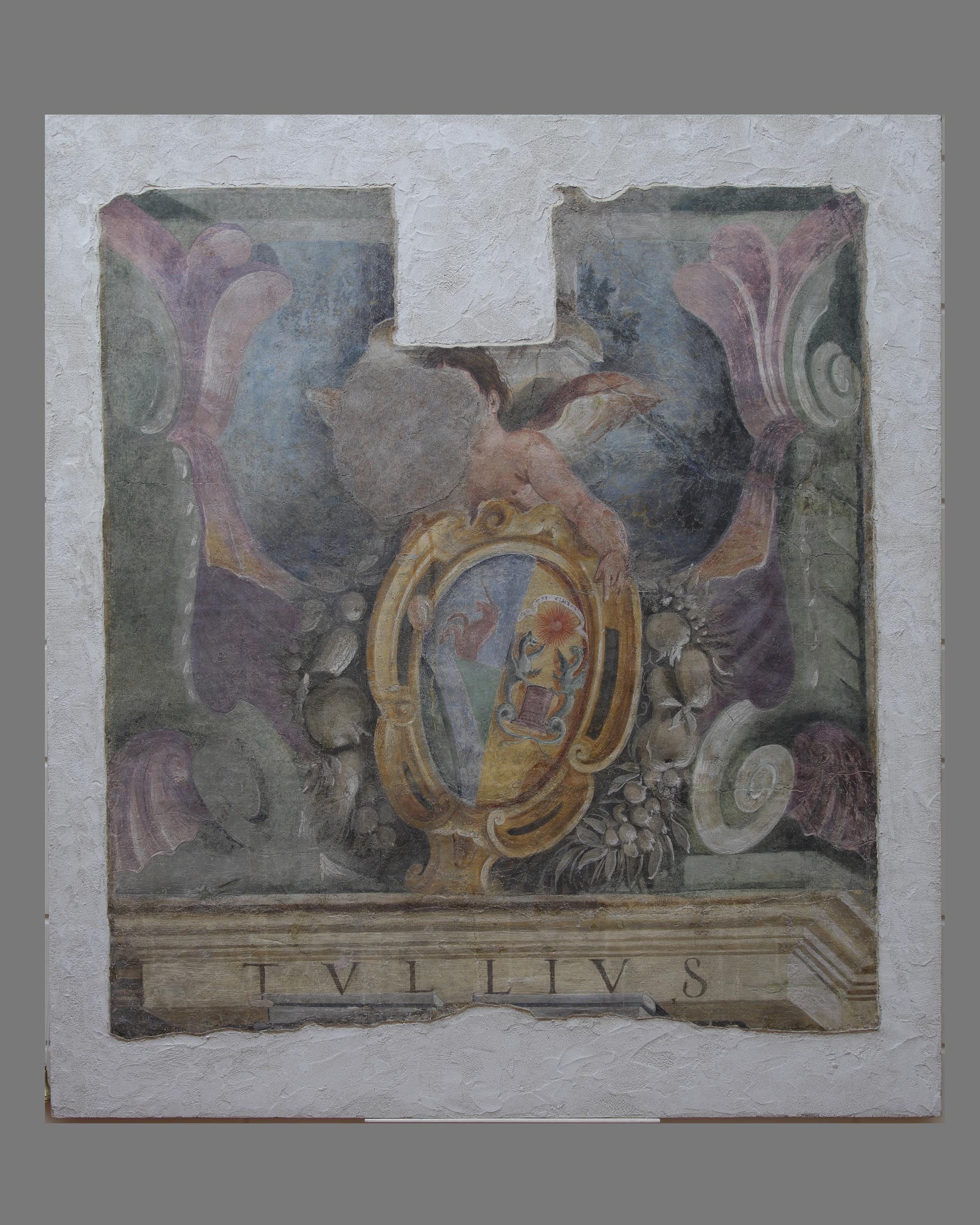 Stemma e angelo reggistemma (dipinto, ciclo) - ambito mantovano (sec. XVI, sec. XVII)