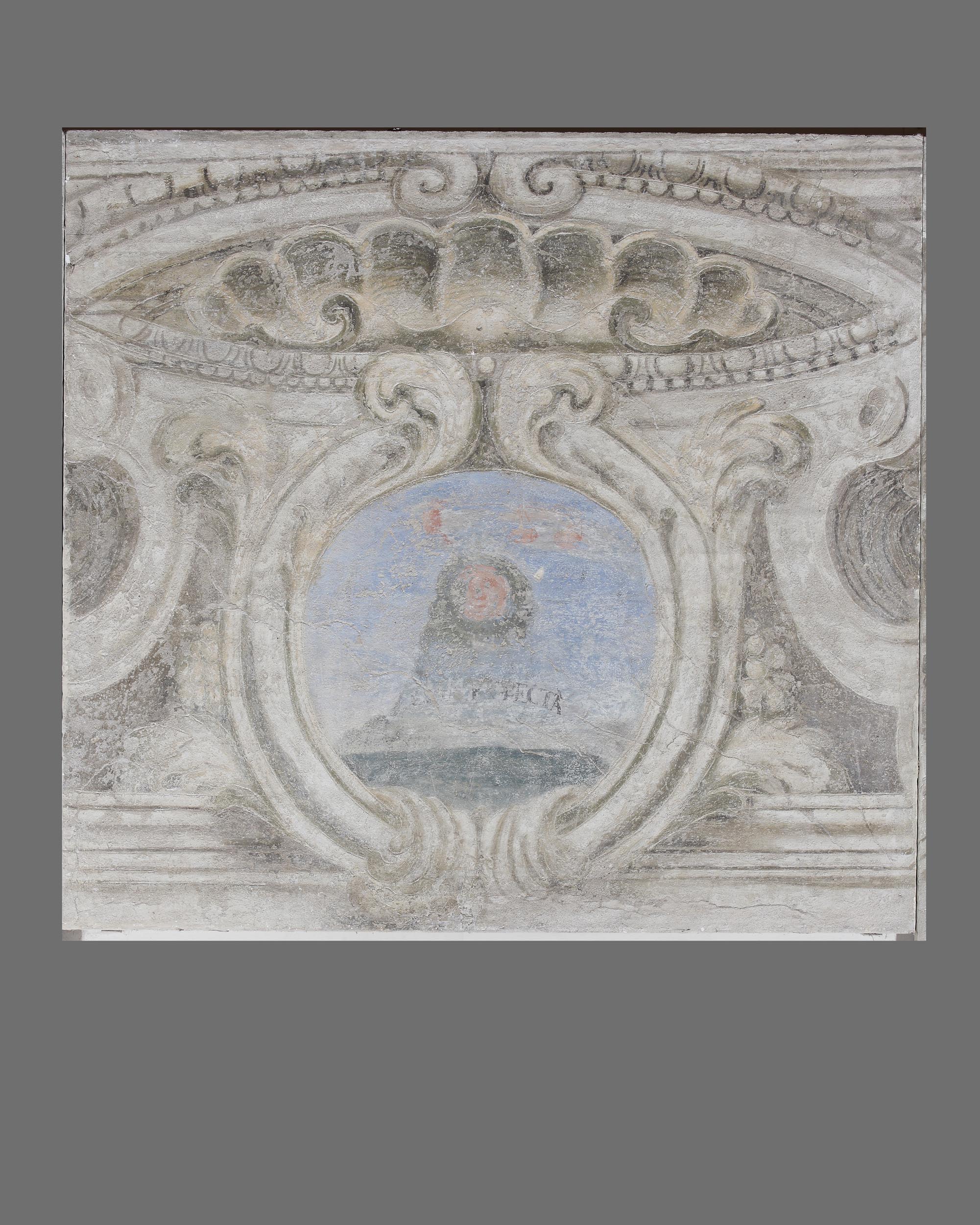 fregio con emplemi gonzagheschi (dipinto, elemento d'insieme) di Calabrò Antonio (attribuito) (sec. XVIII)