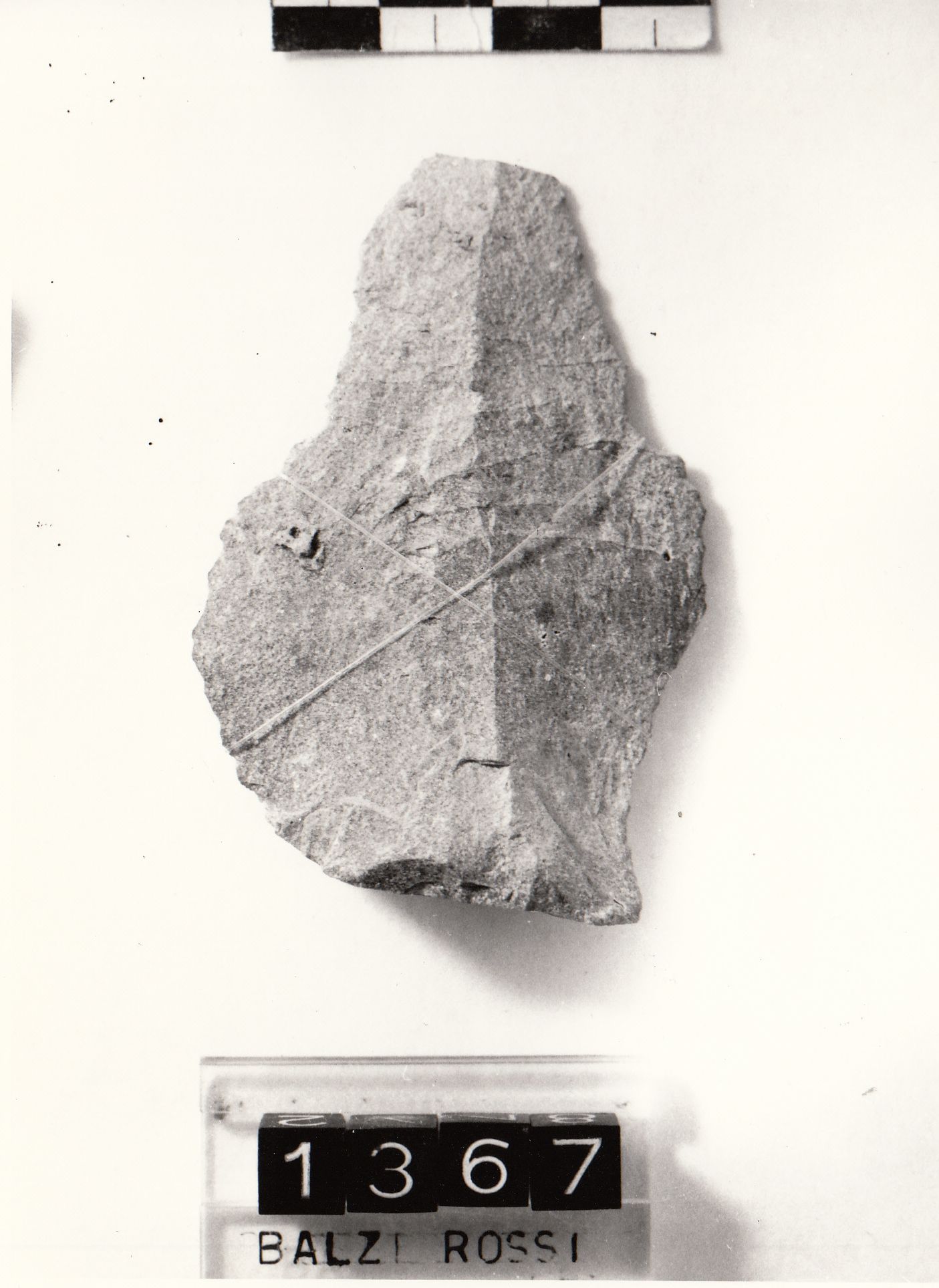 punta (Musteriano tipico Paleolitico medio)