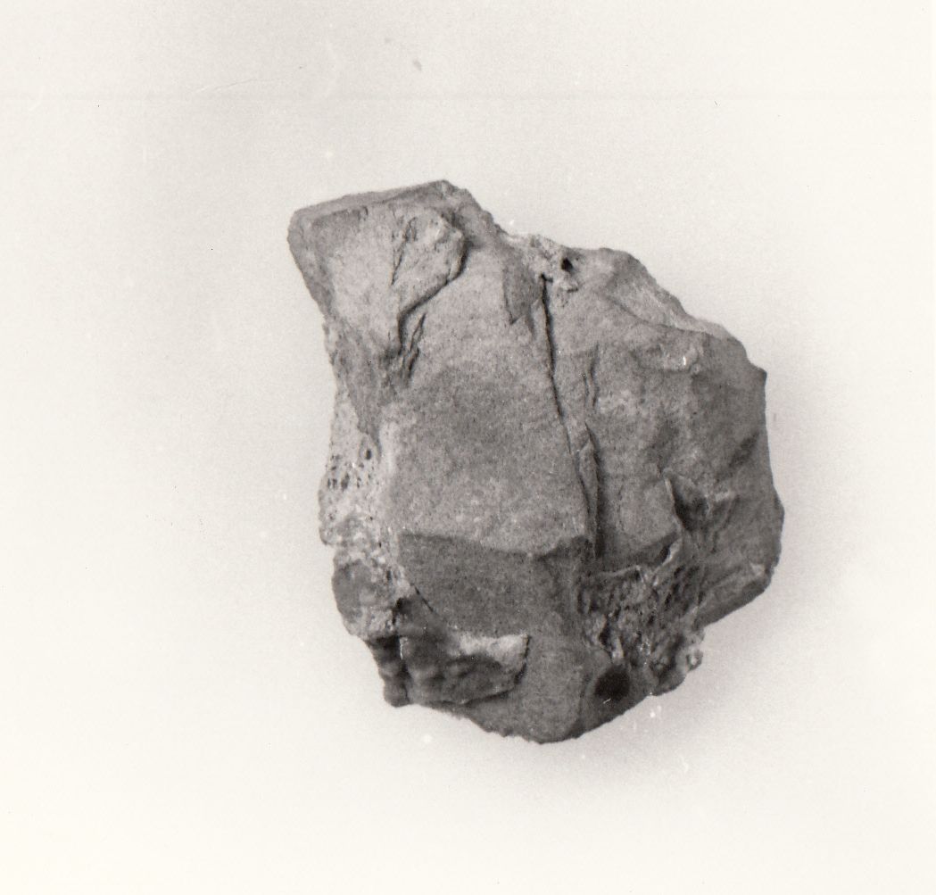 raschiatoio, laterale convesso (Acheuleano superiore Paleolitico inferiore)