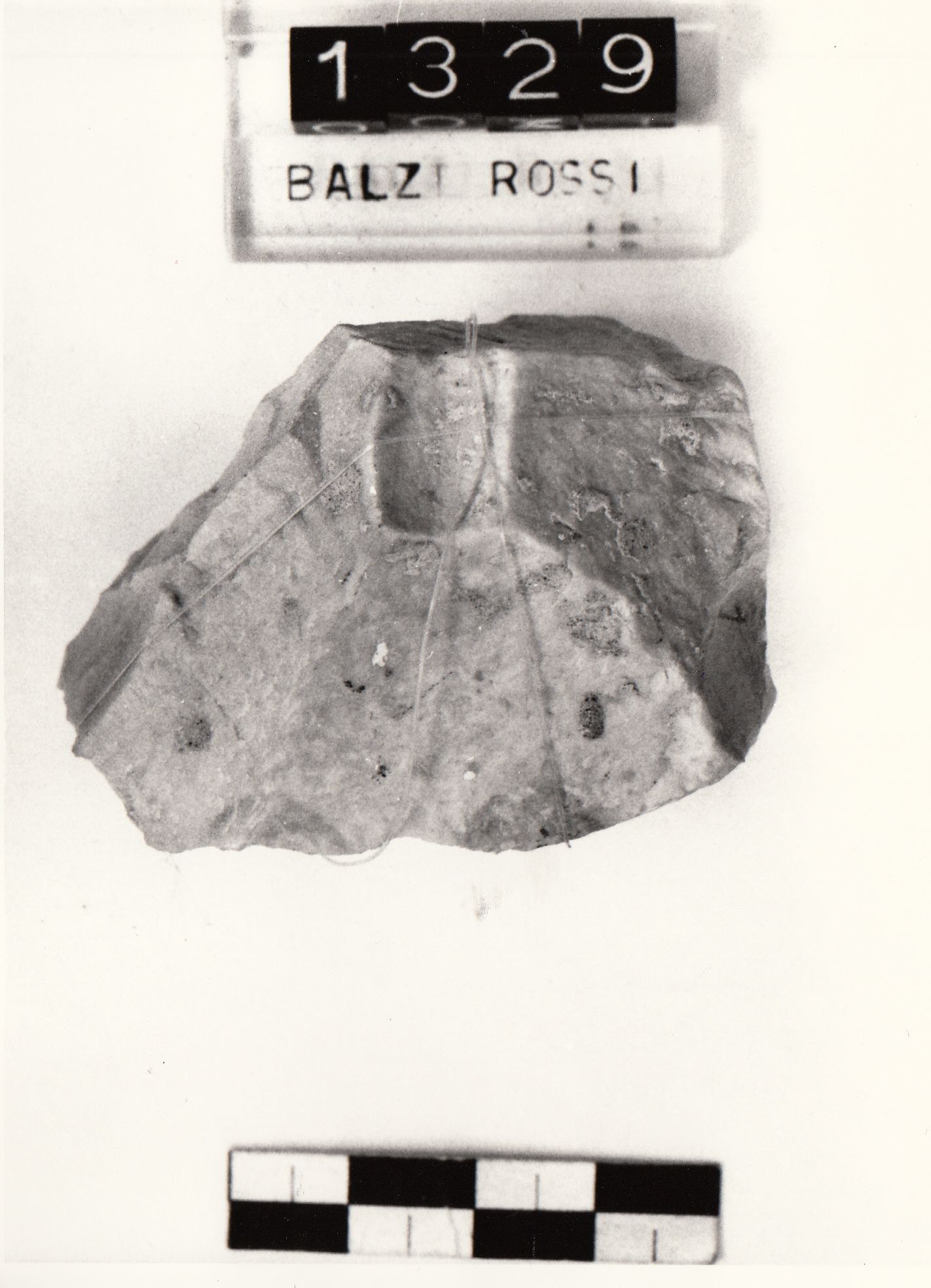 nucleo, globuloso (Paleolitico medio)