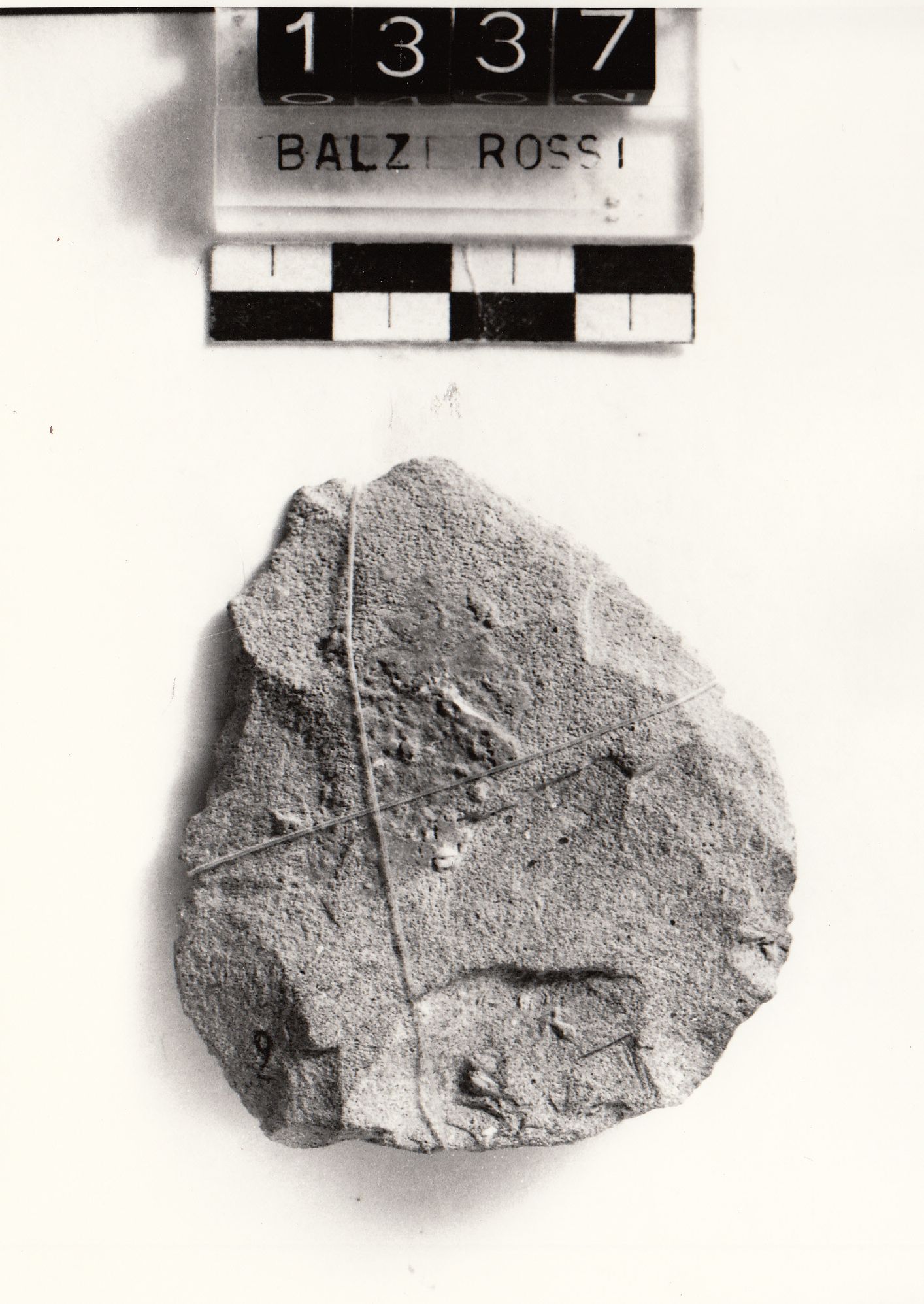 raschiatoio, convesso (Paleolitico medio)