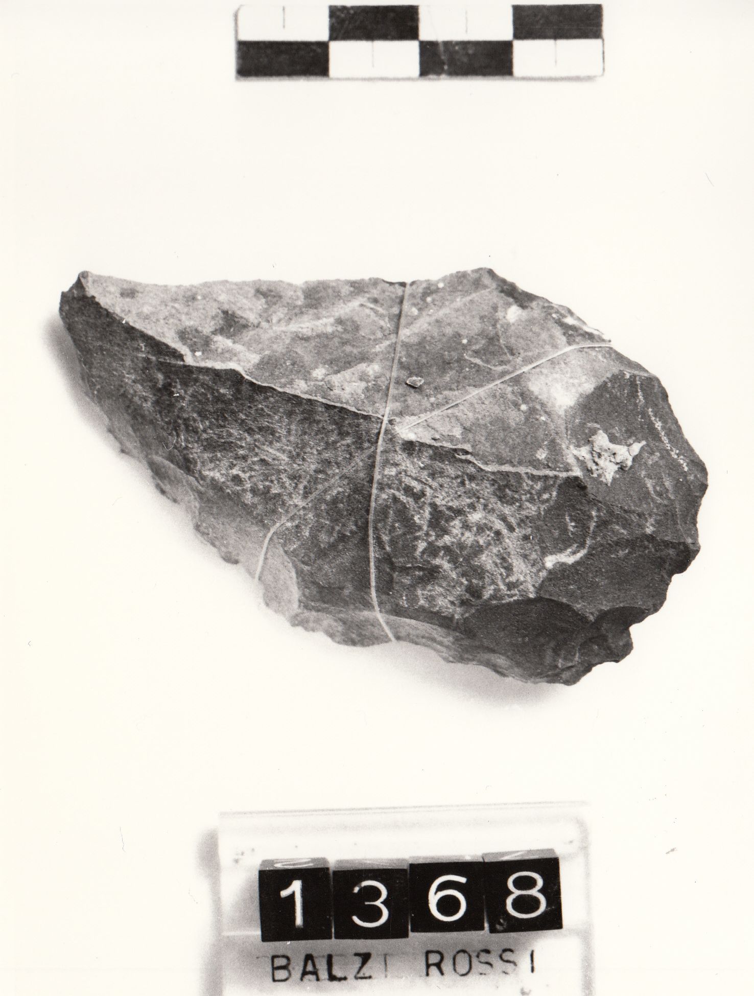 raschiatoio, denticolato convesso (Musteriano tipico Paleolitico medio)