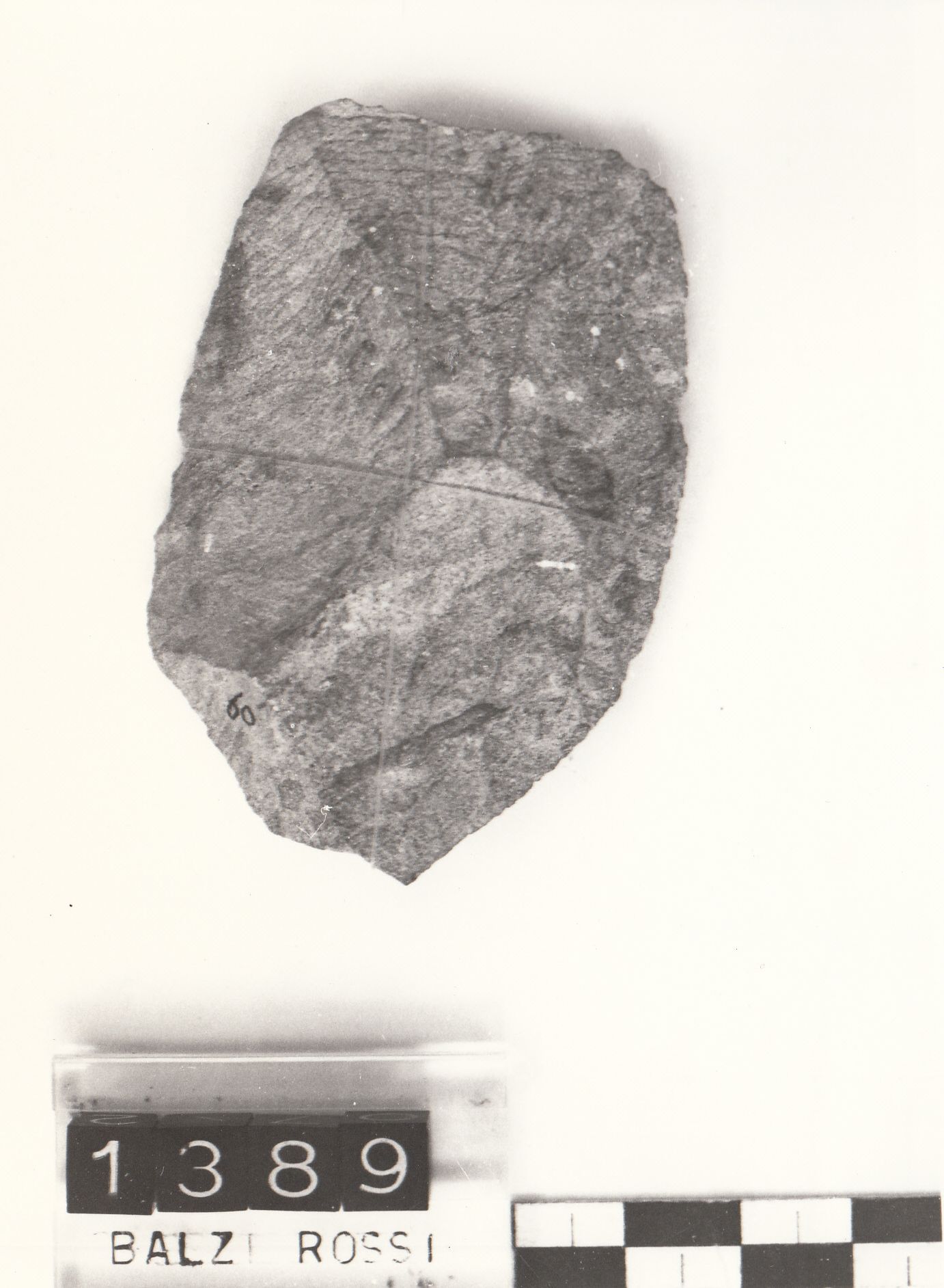 raschiatoio, doppio convesso (Paleolitico medio)