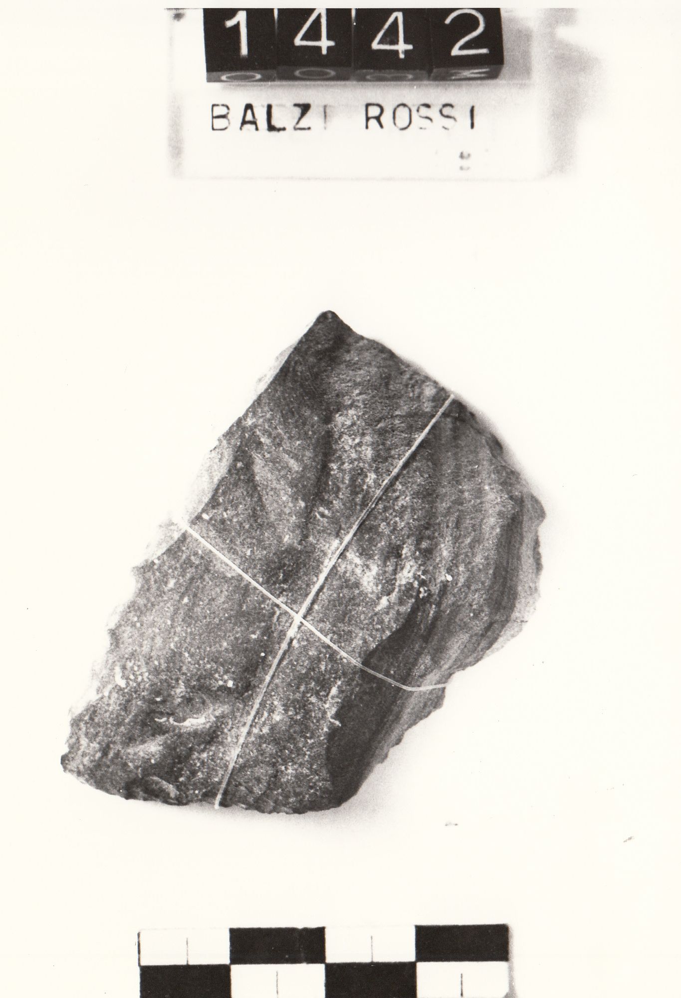 raschiatoio, dejetè (Paleolitico medio)