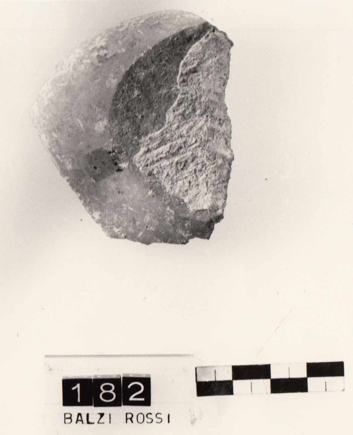 coltello, a dorso (Musteriano arcaico Paleolitico medio)