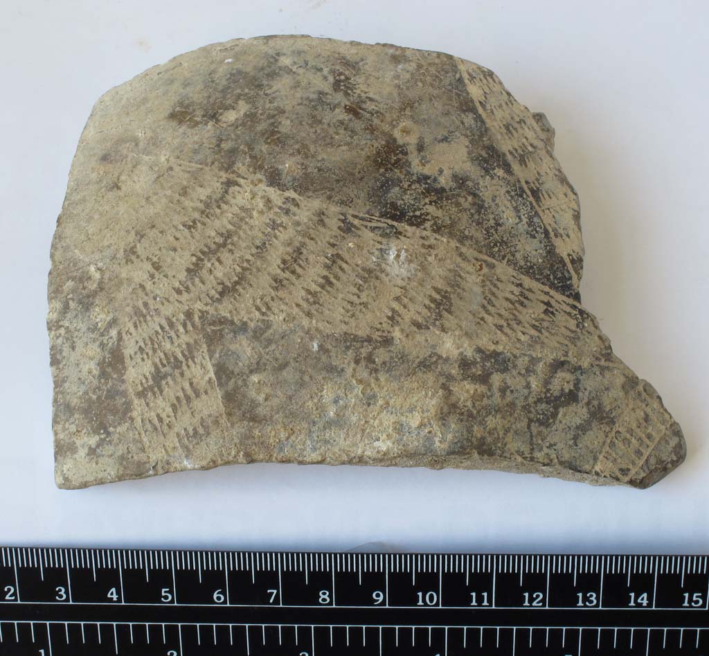 vaso/ parete (Neolitico)