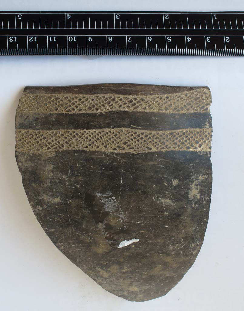 forma aperta/ orlo - Facies Matera-Ostuni (Neolitico)