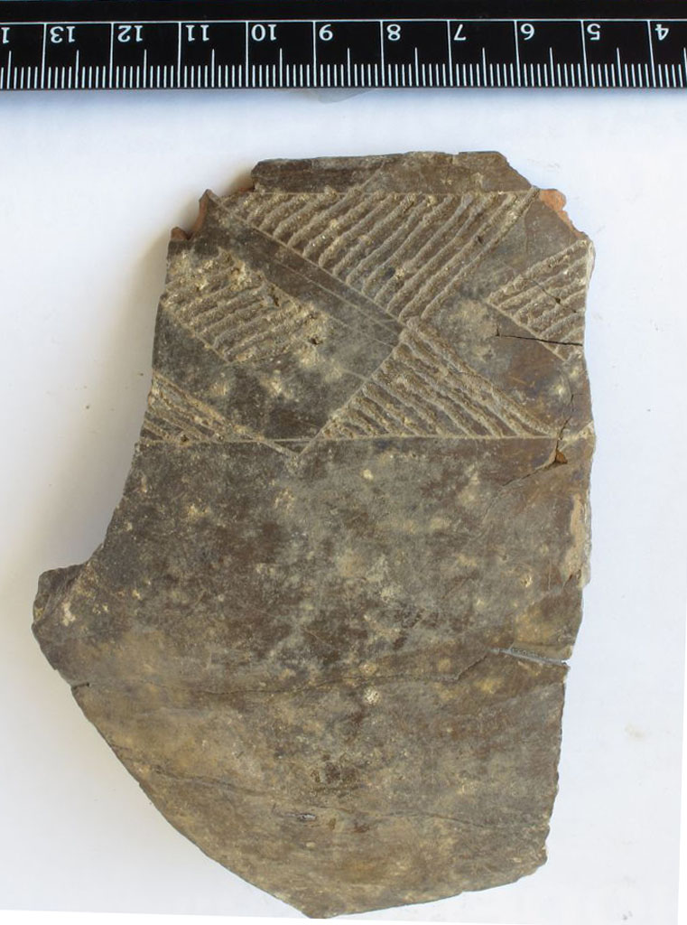 vaso/ parete (Neolitico)